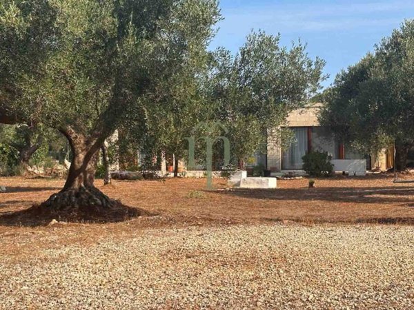 casa indipendente in vendita a Carovigno