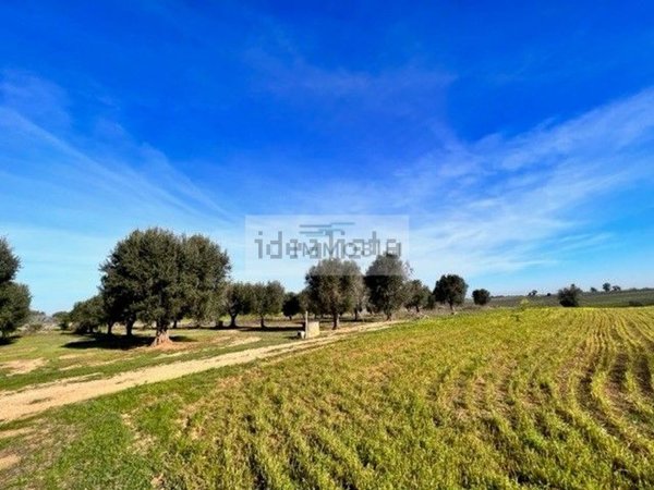 appartamento in vendita a Carovigno