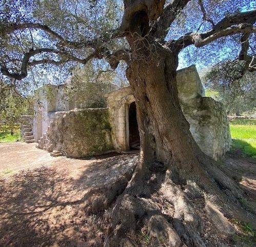 casa indipendente in vendita a Carovigno
