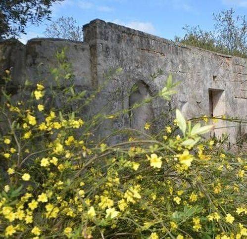 casa indipendente in vendita a Carovigno