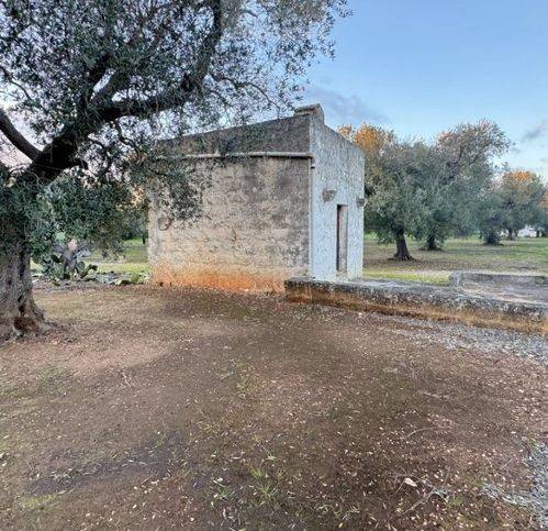 terreno agricolo in vendita a Carovigno