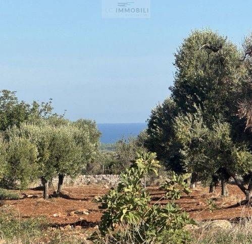 terreno agricolo in vendita a Carovigno
