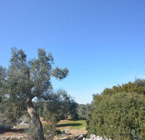 casa indipendente in vendita a Carovigno