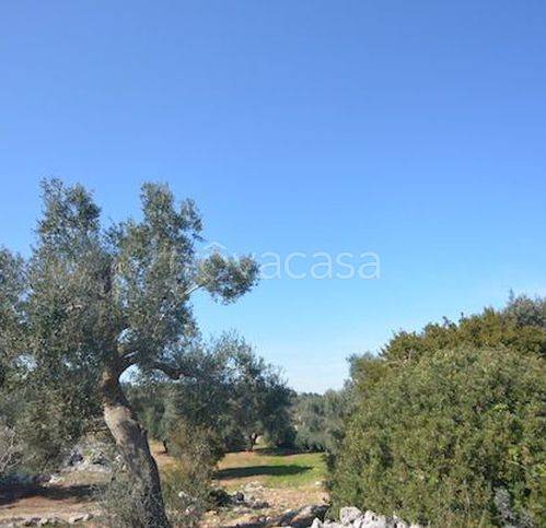 casa indipendente in vendita a Carovigno