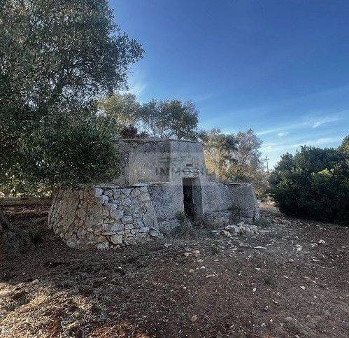terreno agricolo in vendita a Carovigno