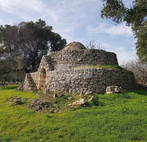terreno agricolo in vendita a Carovigno