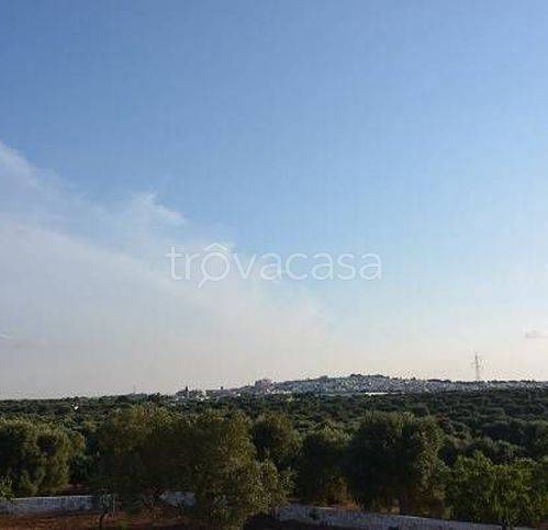 terreno agricolo in vendita a Carovigno