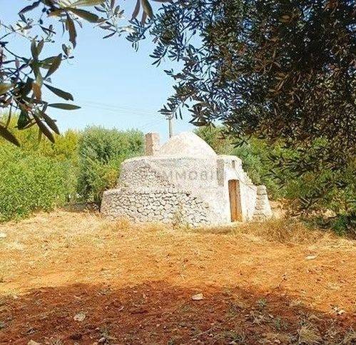 terreno agricolo in vendita a Carovigno