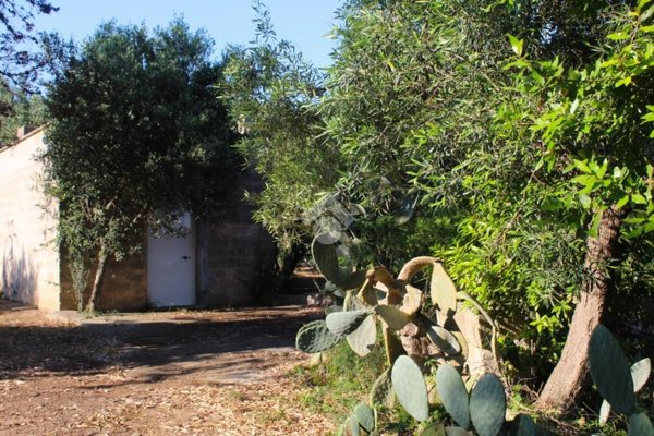 appartamento in vendita a Carovigno