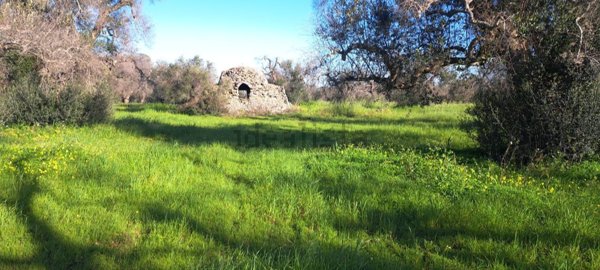 appartamento in vendita a Carovigno