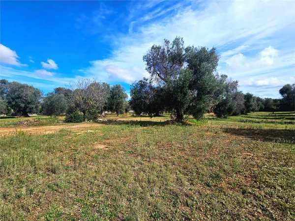 monolocale in vendita a Carovigno