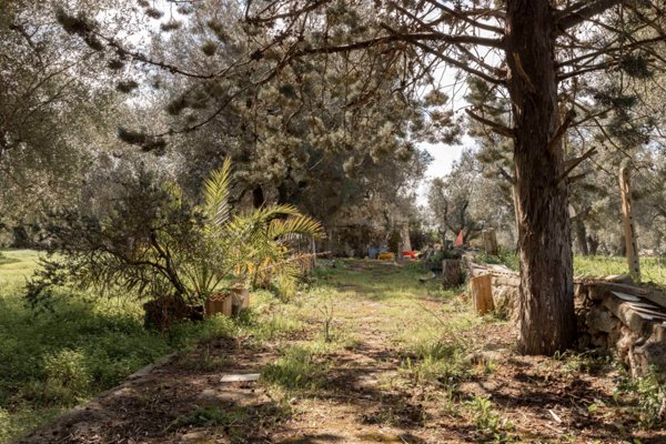 casa indipendente in vendita a Carovigno
