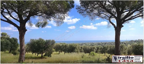 casa indipendente in vendita a Carovigno