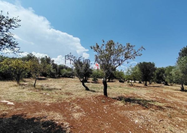 casa indipendente in vendita a Carovigno