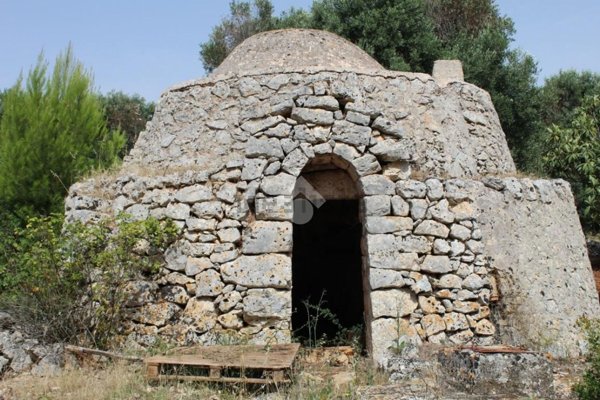 appartamento in vendita a Carovigno