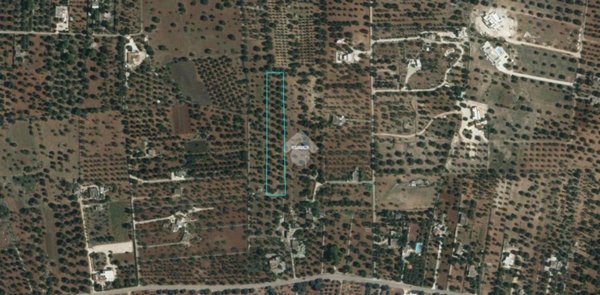 terreno agricolo in vendita a Carovigno