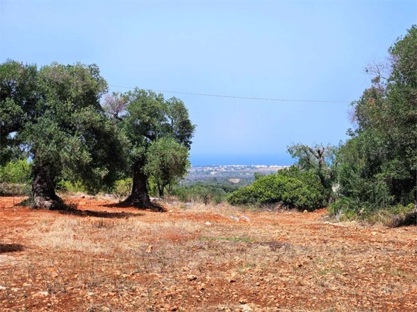 casa indipendente in vendita a Carovigno