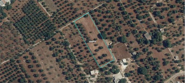 casa indipendente in vendita a Carovigno