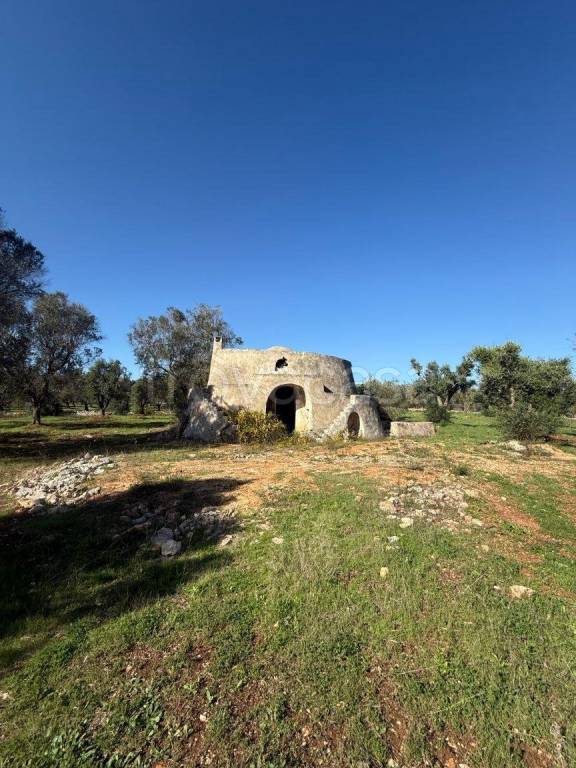 casa indipendente in vendita a Carovigno
