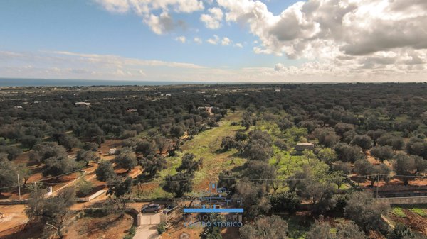 casa indipendente in vendita a Carovigno