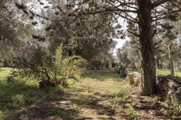 appartamento in vendita a Carovigno in zona Serranova