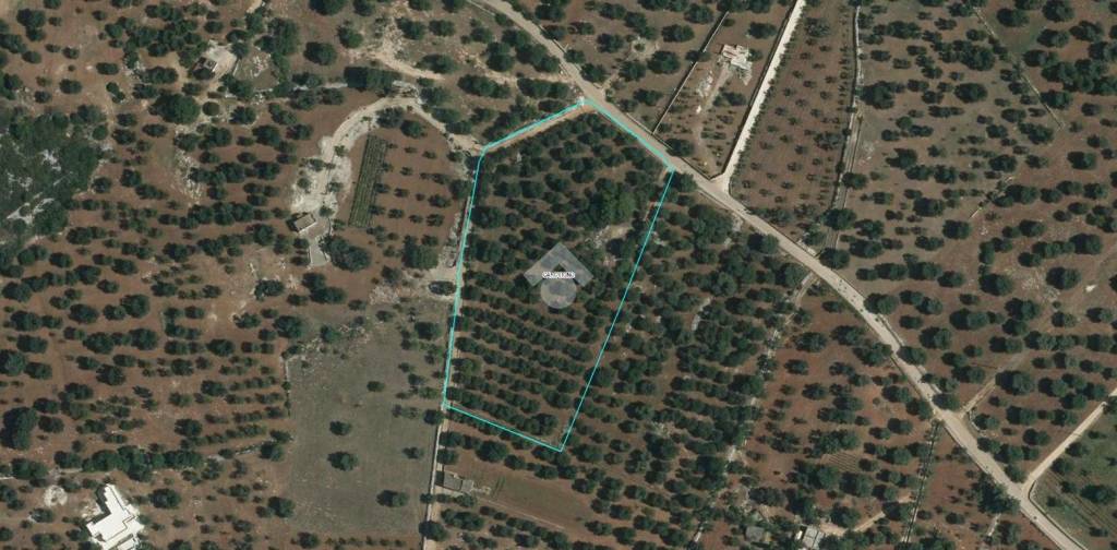 terreno agricolo in vendita a Carovigno