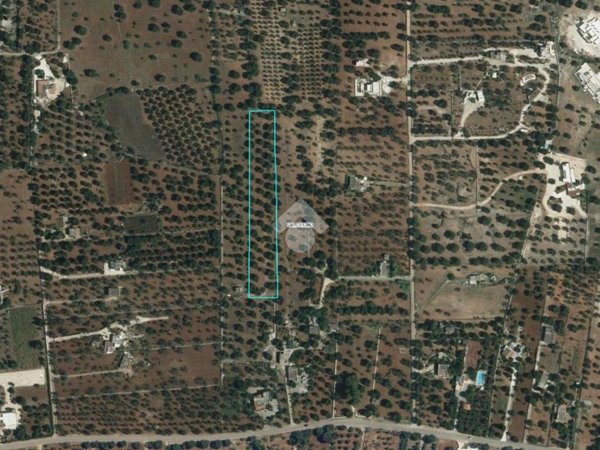 terreno agricolo in vendita a Carovigno