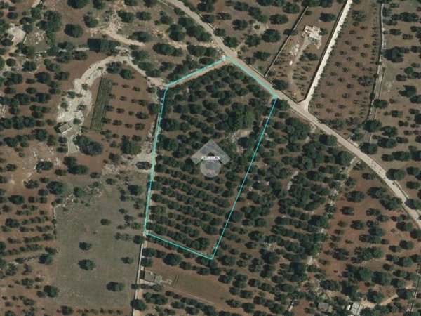 terreno agricolo in vendita a Carovigno