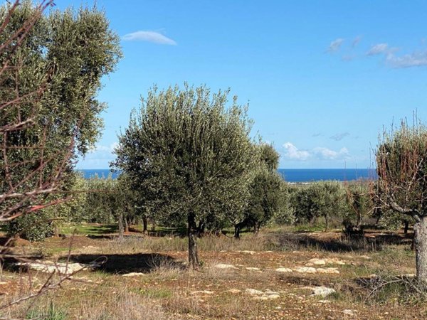 terreno agricolo in vendita a Carovigno
