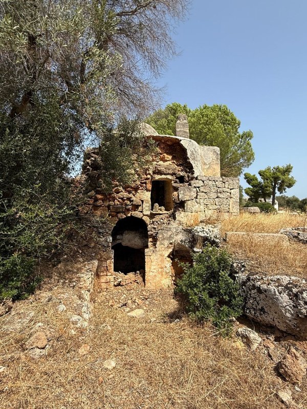 appartamento in vendita a Carovigno