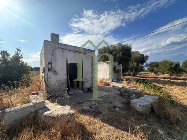 terreno agricolo in vendita a Carovigno
