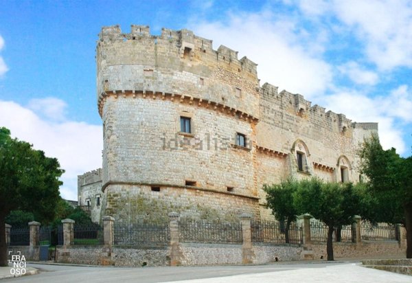 terreno agricolo in vendita a Carovigno