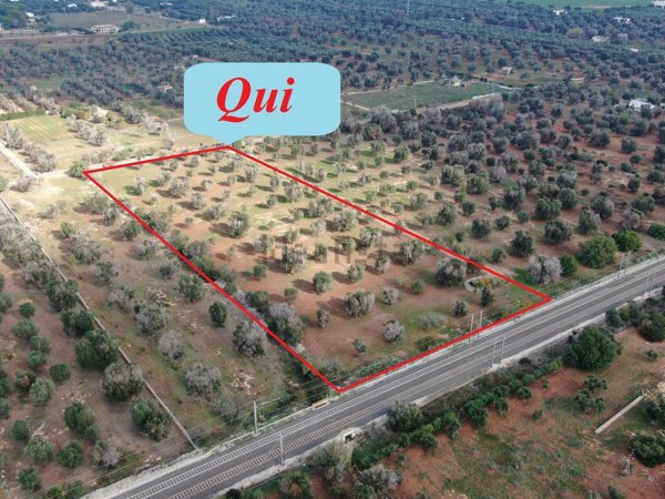 casa indipendente in vendita a Carovigno