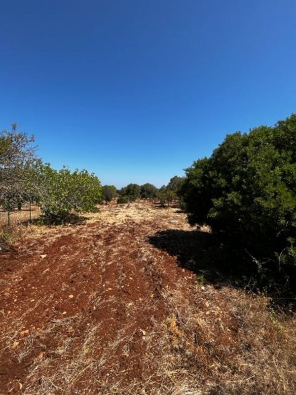 terreno in vendita a Carovigno in zona Serranova