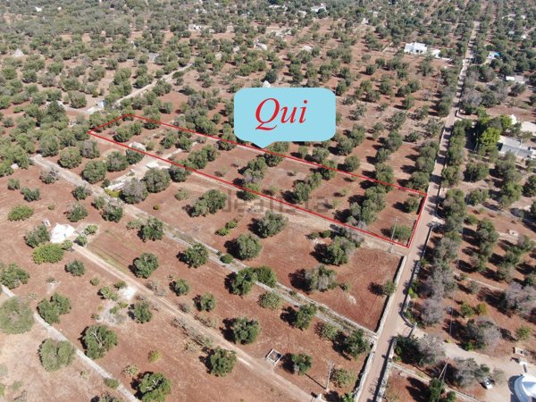 casa indipendente in vendita a Carovigno in zona Serranova
