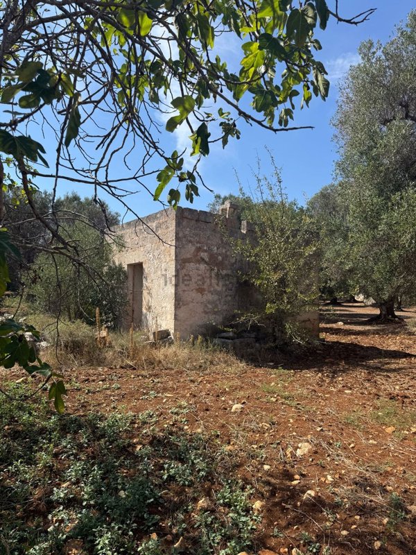 appartamento in vendita a Carovigno