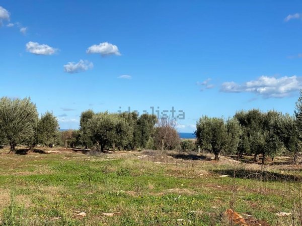 terreno edificabile in vendita a Carovigno