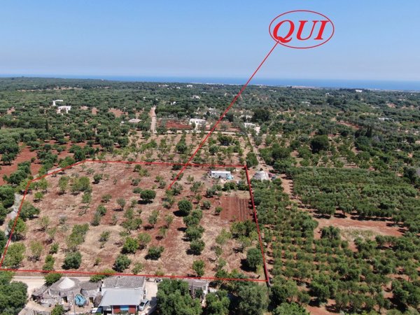 casa indipendente in vendita a Carovigno in zona Serranova