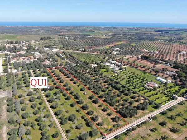 casa indipendente in vendita a Carovigno