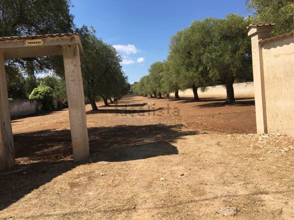 casa indipendente in vendita a Carovigno in zona Serranova