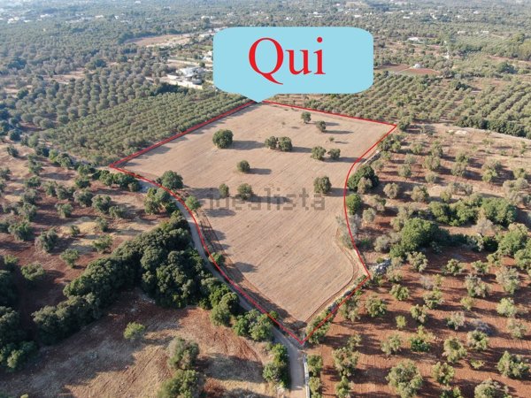 casa indipendente in vendita a Carovigno