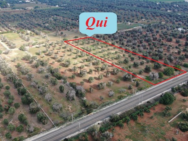 casa indipendente in vendita a Carovigno