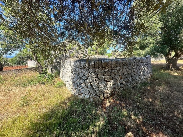 terreno agricolo in vendita a Carovigno
