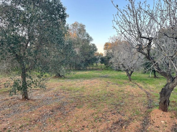 casa indipendente in vendita a Carovigno in zona Serranova
