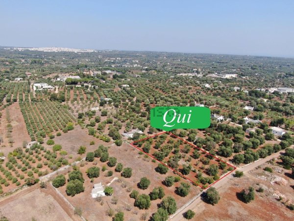 casa indipendente in vendita a Carovigno