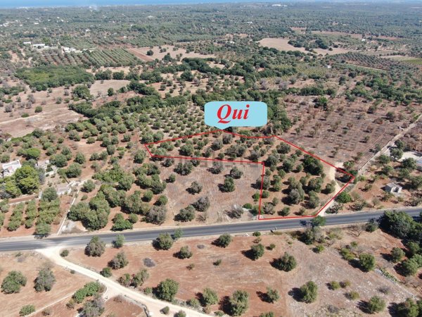 terreno agricolo in vendita a Carovigno