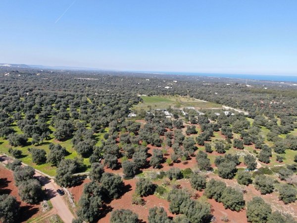 casa indipendente in vendita a Carovigno