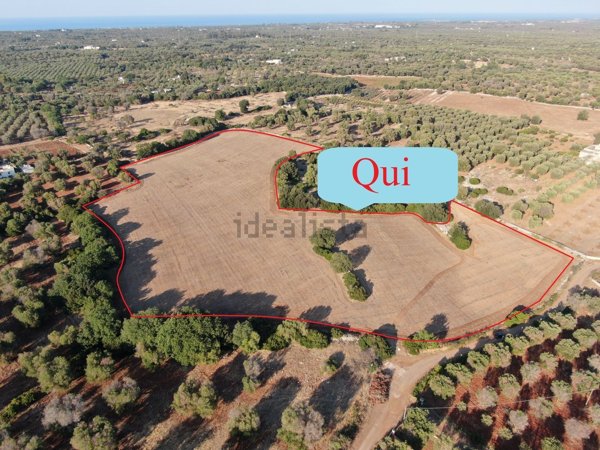 casa indipendente in vendita a Carovigno