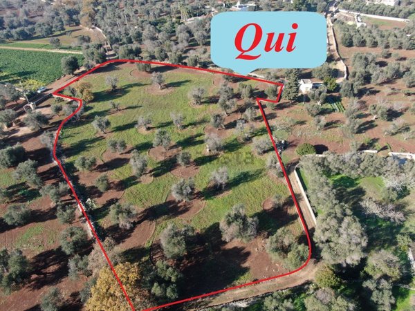 casa indipendente in vendita a Carovigno