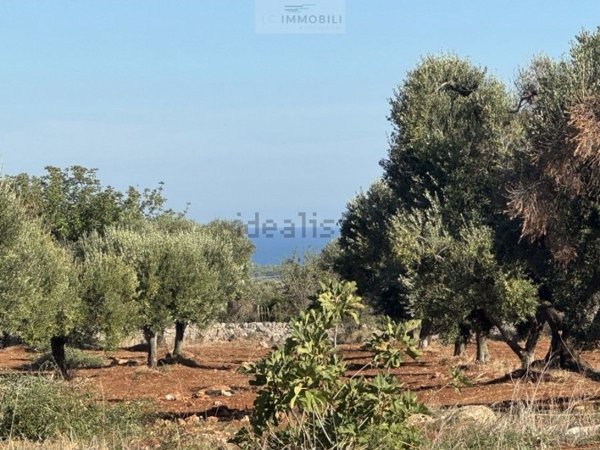 terreno in vendita a Carovigno in zona Serranova